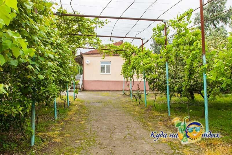 Гостевой дом U Vili Пицунда-4
